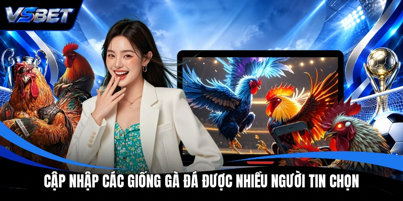 Cập nhập các giống gà đá được nhiều người tin chọn Cập nhập các giống gà đá được nhiều người tin chọn