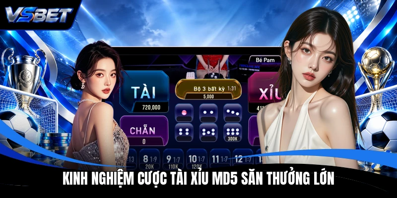 Kinh nghiệm cược Tài Xỉu MD5 săn thưởng lớn Kinh nghiệm cược Tài Xỉu MD5 săn thưởng lớn