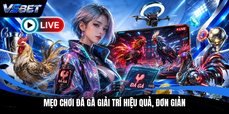 Mẹo chơi đá gà giải trí hiệu quả, đơn giản Mẹo chơi đá gà giải trí hiệu quả, đơn giản