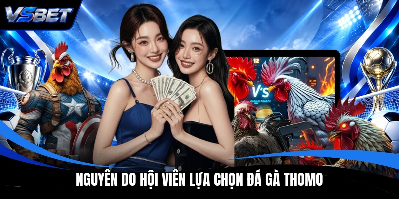 Nguyên do hội viên lựa chọn đá gà Thomo