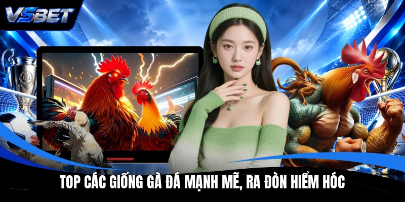 Top các giống gà đá mạnh mẽ, ra đòn hiểm hóc